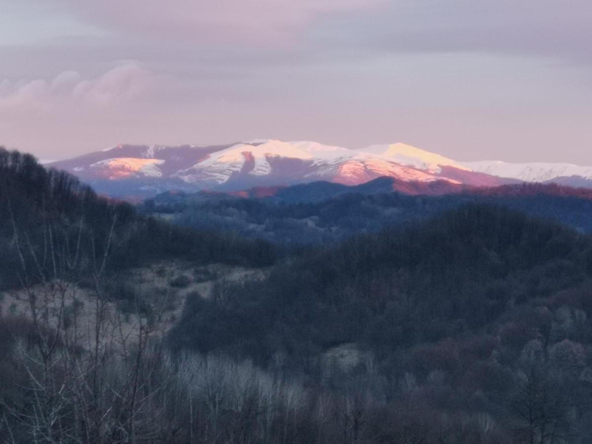 Cabanuta Fara Fite Villa Provita de Jos Exteriör bild
