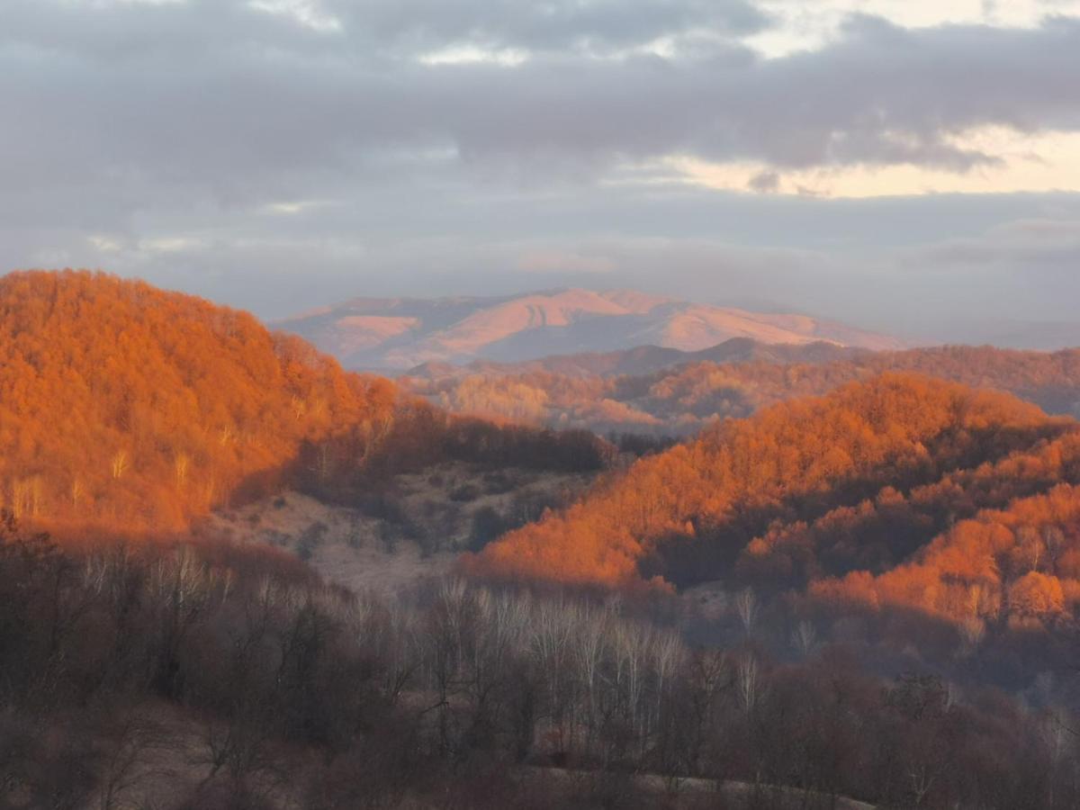 Cabanuta Fara Fite Villa Provita de Jos Exteriör bild
