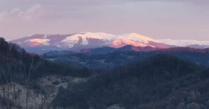 Cabanuta Fara Fite Villa Provita de Jos Exteriör bild